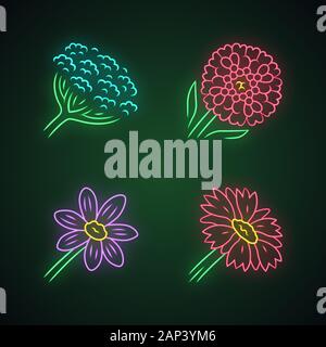 Wilde Blumen Neon Licht Symbole gesetzt. Cow parsnip, candytuft, coreopsis, decke Blume. Blühende Wildblumen, Unkraut. Feld, Wiese krautigen Pflanzen. Glo Stock Vektor
