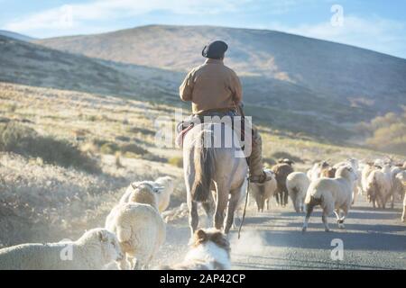 Gauchos ahd Herde von Ziegen in Patagonien, Argentinien Stockfoto