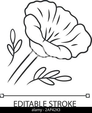 Kalifornischer Mohn lineare Symbol. Dünne Linie Abbildung. Papaver rhoeas. Mais stieg blühenden Wildblumen. Krautigen Pflanzen. Feld common Poppy. Kontur sy Stock Vektor