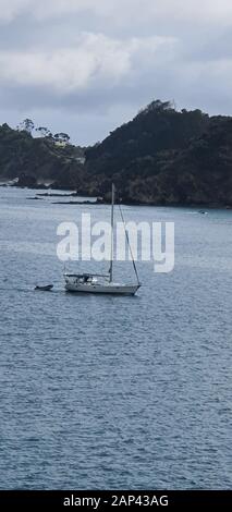 Paihia, Bay of Islands/Neuseeland - 30. Dezember 2019: Das Scenic Seaside Village von Paihia an der Bay of Islands Stockfoto