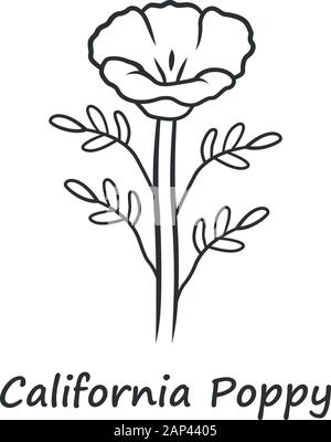Kalifornischer Mohn lineare Symbol. Papaver rhoeas mit Namen Inschrift. Mais stieg Wildflower. Krautigen Pflanzen. Feld common Poppy. Dünne Linie illustratio Stock Vektor