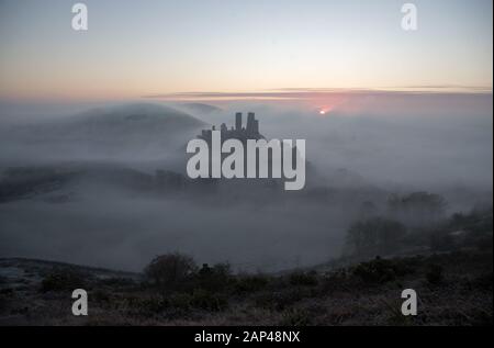 Sonnenaufgang über Corfe Castle in Dorset, wo über Nacht wieder Temperaturen unter dem Gefrierpunkt getaucht. Stockfoto