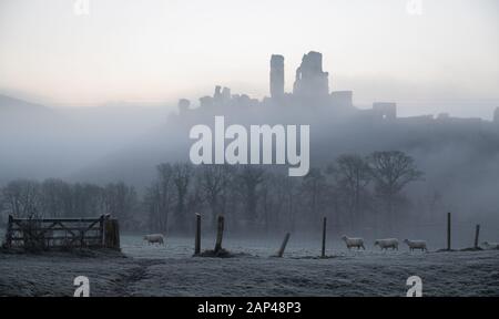 Eine niedrige Nebel umgibt Corfe Castle in Dorset bei Sonnenaufgang, wo über Nacht wieder Temperaturen unter dem Gefrierpunkt getaucht. Stockfoto