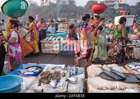 Weibliche Fischhändler der Koli-Ethnie, die Fisch an den Sassoon Docks verkaufen, einem Fischerhafen in Colaba, Mumbai, Indien Stockfoto