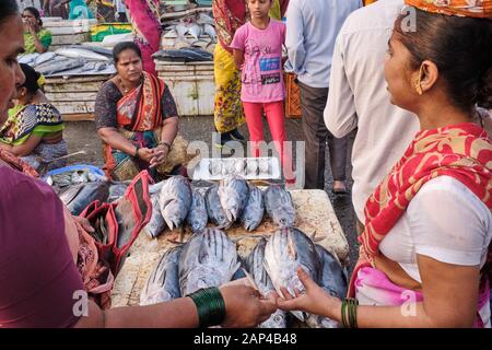 Weibliche Fischhändler der Koli-Ethnie, die Fisch an den Sassoon Docks verkaufen, einem Fischerhafen in Colaba, Mumbai, Indien Stockfoto
