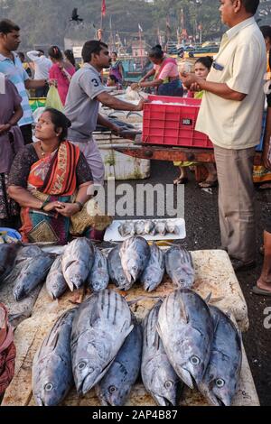 Weibliche Fischhändler der Koli-Ethnie, die Fisch an den Sassoon Docks verkaufen, einem Fischerhafen in Colaba, Mumbai, Indien Stockfoto