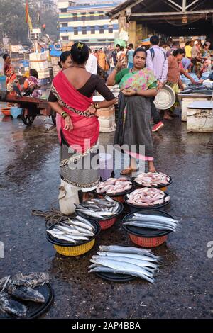 Weibliche Fischhändler der ethnischen Gruppe der Koli, die Fisch im Sassoon Dock, einem Fischerhafen in der Gegend von Colaba, Mumbai, Indien, verkaufen Stockfoto
