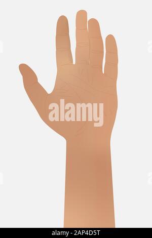 Die Hand des Mannes ist auf einem weißen Hintergrund. Stock Vektor
