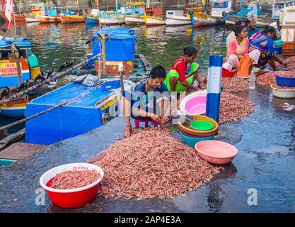 Indische Menschen arbeiten in Sassoon Docks in Mumbai Indien Stockfoto
