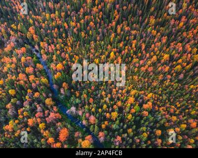 Der Fluss fließt durch den Herbstwald mit gelben und roten Bäumen, Luftbild Stockfoto