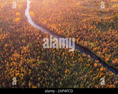 Wunderschöner Herbstwald mit gelben und roten Bäumen, Sonnenuntergang am blauen Gebirgsfluss, Luftbild Stockfoto