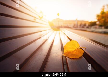 Im bunt bemalten Herbstpark Laub liegt das gestürzte gelbe Blatt auf der Bank. Konzept natürliche Hintergrundwechsel Saison Stockfoto