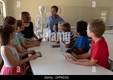 Männliche Lehrerin, die ein Modell eines menschlichen Skeletts zum unterrichten verwendet Stockfoto