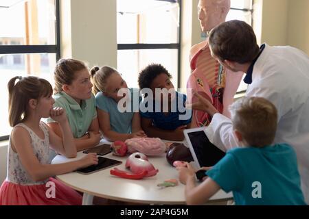 Gruppe von Grundschulkindern, die mit Anatomie-Modell arbeiten Stockfoto