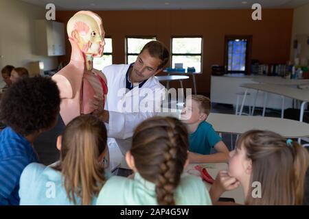 Gruppe von Grundschulkindern, die mit Anatomie-Modell arbeiten Stockfoto