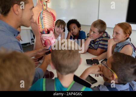 Lehrer für Männer, der ein Modell für die menschliche Anatomie verwendet, um zu unterrichten Stockfoto
