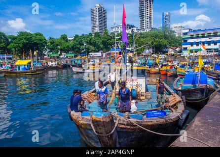 Indische Fischer arbeiten in Sassoon Docks in Mumbai Indien Stockfoto