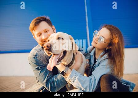 Hund Labrador Retriever ist glücklich, der Besitzer streicht zum laufen. Konzeptfamilie Stockfoto