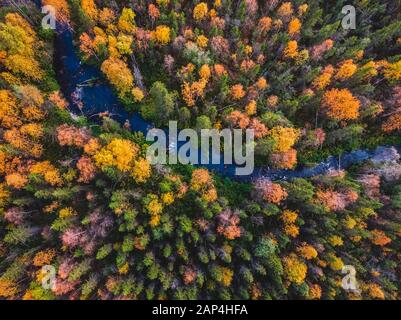 Herbstwald mit gelben und roten Bäumen und blauem Flussblick Stockfoto