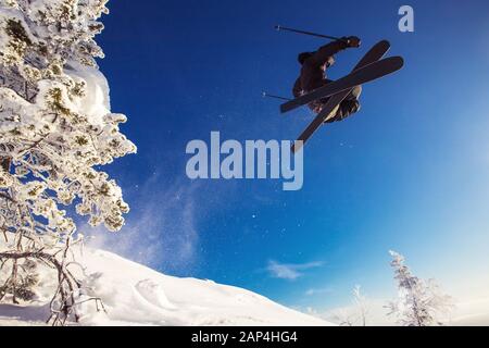 Skifahrer springt in Neuschneefreier in Bergen vor Wald im Hintergrund. Extremes Sportkonzept Stockfoto