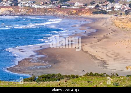 Luftaufnahme der Sandstrand in Bodega Bay; Tule Elche sitzen auf einer Weide in Point Reyes National Seashore im Vordergrund; Häuser in Dillon Beach in Stockfoto