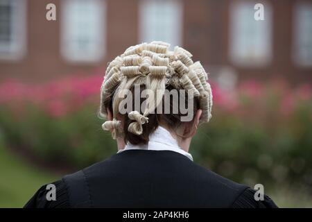 Eine Perücke, wie manche Richter und Rechtsanwälte in England und Wales getragen, auch als Peruke bekannt. Es wird von einer Frau getragen. Stockfoto