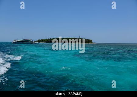 Blick auf Green Island am Great Barrier Reef, Queensland, Australien Stockfoto