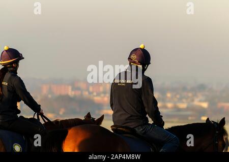 Newmarket, Großbritannien. 21. Januar, 2020. Jockeys reiten auf einem eisigen Morgen auf Training von Newmarket galoppiert. Credit: Mark Bullimore/Alamy leben Nachrichten Stockfoto