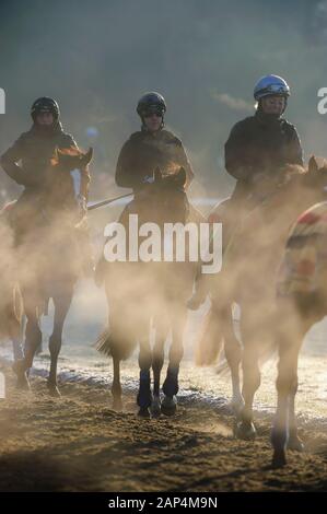 Newmarket, Großbritannien. 21. Januar, 2020. Jockeys reiten auf einem eisigen Morgen auf Training von Newmarket galoppiert. Credit: Mark Bullimore/Alamy leben Nachrichten Stockfoto