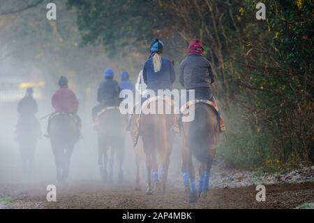 Newmarket, Großbritannien. 21. Januar, 2020. Jockeys reiten auf einem eisigen Morgen auf Training von Newmarket galoppiert. Credit: Mark Bullimore/Alamy leben Nachrichten Stockfoto