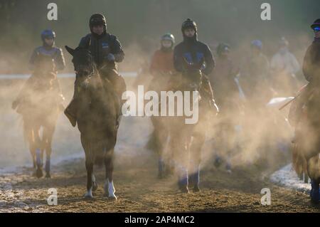 Newmarket, Großbritannien. 21. Januar, 2020. Jockeys reiten auf einem eisigen Morgen auf Training von Newmarket galoppiert. Credit: Mark Bullimore/Alamy leben Nachrichten Stockfoto