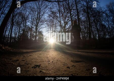 Berlin, Deutschland. 21 Jan, 2020. Eine Frau geht durch den Zoo in den Morgen. Credit: Paul Zinken/dpa/Alamy leben Nachrichten Stockfoto
