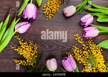 Tulpen und Mimosen auf dunklem Holzhintergrund. Rahmen. Stillleben mit schönen Blumen im Urlaub. Stockfoto