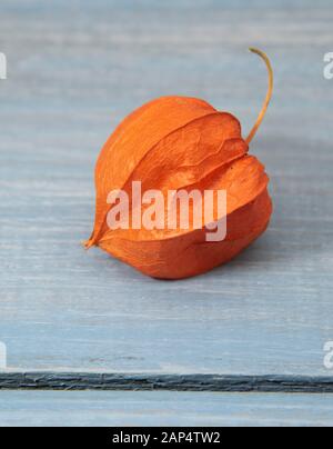 Eine Frucht physalis auf einem feinen Holz- Hintergrund. Stockfoto