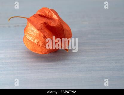 Eine Frucht physalis auf einem feinen Holz- Hintergrund. Stockfoto