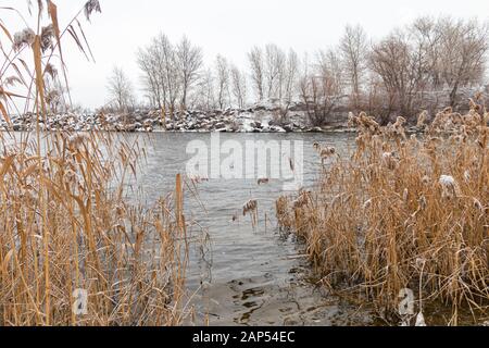 Winter Natur. Winter ist unnormal, fliesst das Wasser in den Fluss und Nicht einfrieren. Es gab sehr wenig Schnee. Die globale Erwärmung. Ökologische Katastrophe. Kopieren Stockfoto