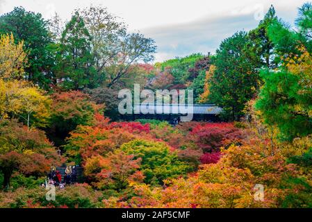 Tofuku-ji in Kyoto/Japan mit Herbstlaub Stockfoto