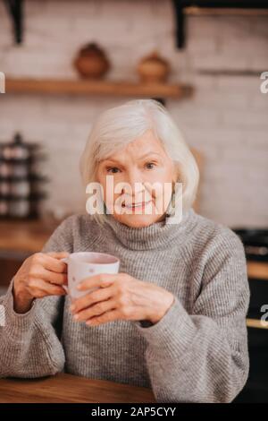 Schöne ältere Frau im grauen pullover Gut Stockfoto