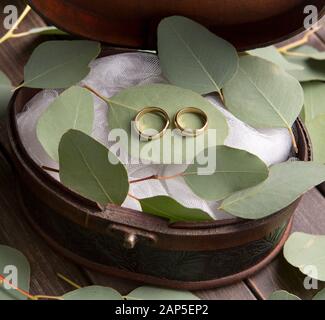Zwei goldene Ringe für die Hochzeit, die in der Schatulle stehen Stockfoto