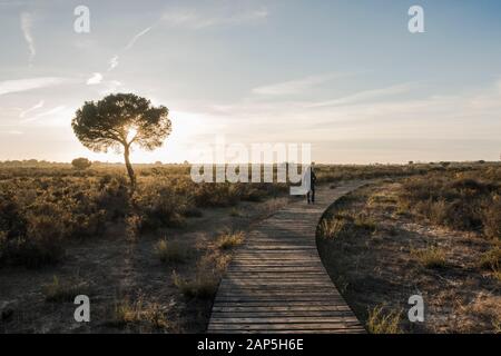 Eine Frau spaziert auf Holzstegen im Nationalpark Doñana, im Besucherzentrum La Rocina, in Huelva, Andalucia, Spanien. Stockfoto