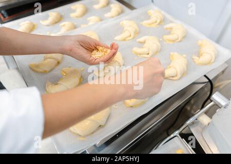 Patissier in ihre Bäckerei putting Croissantteig Stücke auf einem Tablett Stockfoto