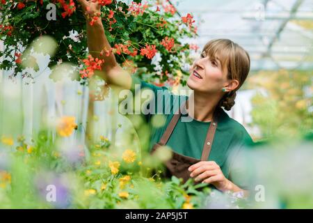 Gärtner Frau in Ihrem Shop kümmert sich um einige Blumen Stockfoto