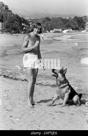 James Hunt, britischer Autorennfahrer, mit seinem Hund am Strand, um 1974. British Car Racing Driver James Hunt mit seinem Hund am Strand, um 1974. Stockfoto