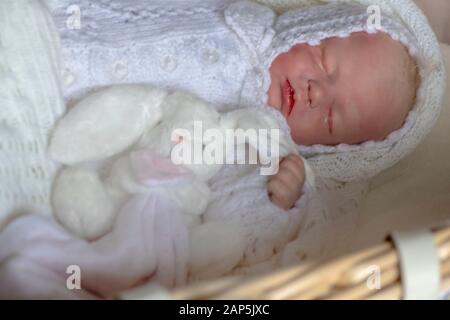 Wiedergeborene Baby-Mädchen- oder Jungen-Puppe, die einen kleinen selektiven Fokus auf Werbetexte hält Stockfoto