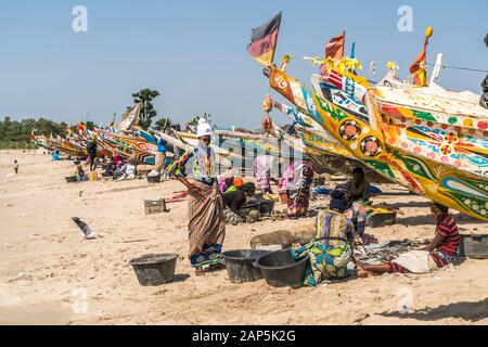 Die Frauen der Fischer mit den bunten Fischerbooten am Strand von Sanyang, Gambia, Westafrika | Fisherman's Frau mit ihren bunten Fischen boa Stockfoto