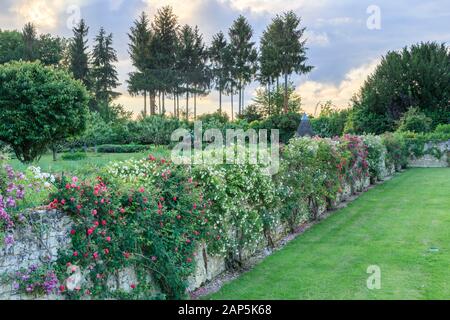 Frankreich, Indre et Loire-Region Anjou Touraine regionaler Naturpark, Lemere, Gärten Chateau du Rivau, Burggräben und Kletterrosen im Frühjahr Stockfoto