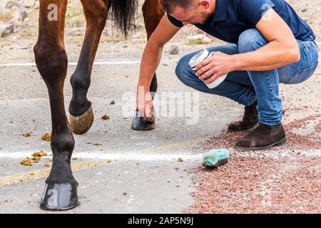 Reiter bereitet ihre Reittiere, malen die Pferde Hufe schwarz, für die San Sebastian Fiesta. Jedes Jahr die Tiere hier auf der Heiligen da getroffen werden, Stockfoto