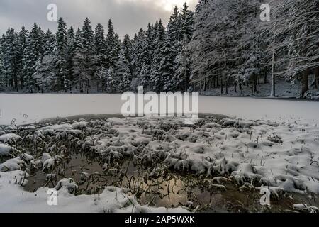 Wundervolle Winterwanderung vom Restaurant Eggli über den Forstseeli- und Diepoldsauer Schwamm zum Fähnerenspitz im Appenzeller Land in der Schweiz Stockfoto