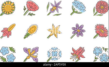Wilde Blumen Farbe Symbole gesetzt. Spring Blossom. Kalifornien Wildblumen. Garten dekorative blühenden Pflanzen. Botanische bündeln. Wiese und Feld Blumen, w Stock Vektor