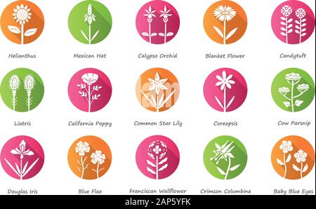 Wilde Blumen flache Bauweise lange Schatten Glyphe Symbole gesetzt. Wilde Blumen. Spring Blossom. Kalifornien Wildblumen mit Namen. Garten blühende Pflanzen. Botanic Stock Vektor